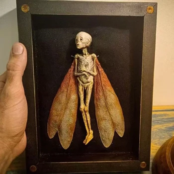  Maldito Itens - Morto De Fadas Sombra De Exibição De Caixa De Madeira, Decoração De Sala De Estar De Parede Decoração Home